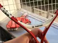 Детска тенис ракета Wilson Hattrick T-101 — 21”, снимка 4