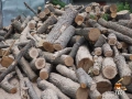 Дърва на кубик – сухи и цепени, 120 лв, снимка 3