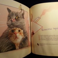 Румената по-езия на котарака Румен , от Наталия Атанасова, издадена 2019 г. , снимка 5 - Художествена литература - 34784502