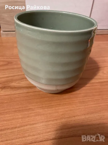 Саксия, снимка 1