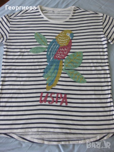 Маркови блузки US Polo, Mayoral, Benetton за ръст 150 см.!, снимка 1