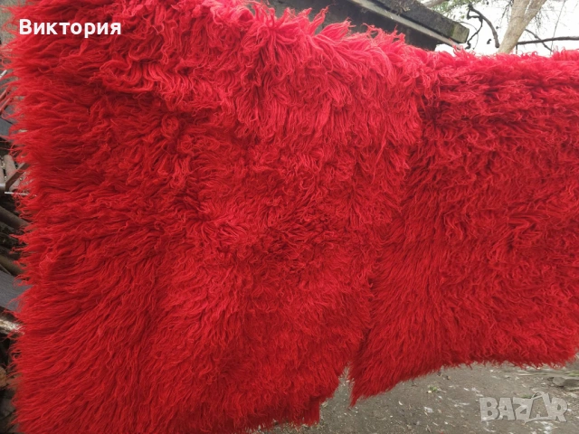 Два килима, халища, губери от вълна, с дълъг косъм, снимка 2 - Килими - 53783750