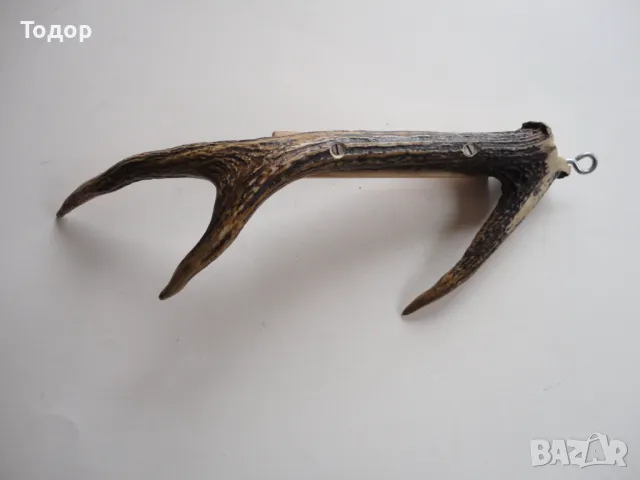 Ловен термометър еленов рог , снимка 4 - Антикварни и старинни предмети - 50287698