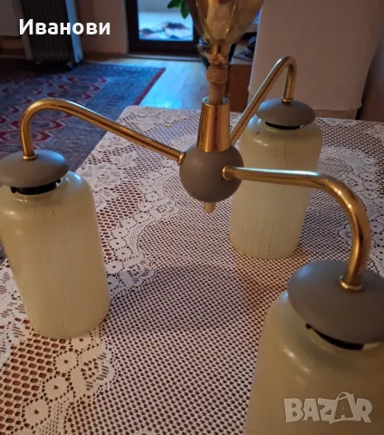 Полилей , снимка 2 - Полилеи - 47559326