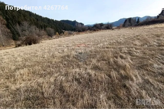 Поземлен имот в Езерово, снимка 6 - Парцели - 50132572