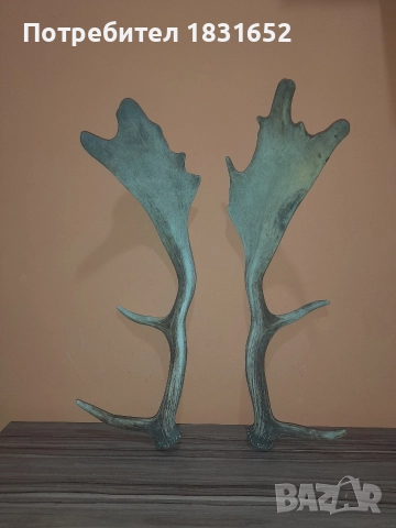 Рога от елен - Лопатар