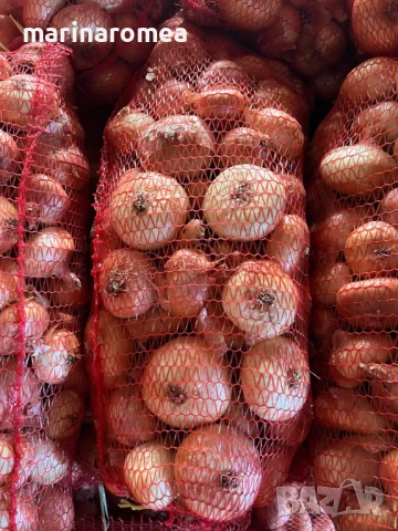 Мрежести чували за пакетиране на зеленчуци, снимка 8 - Други машини и части - 4027057