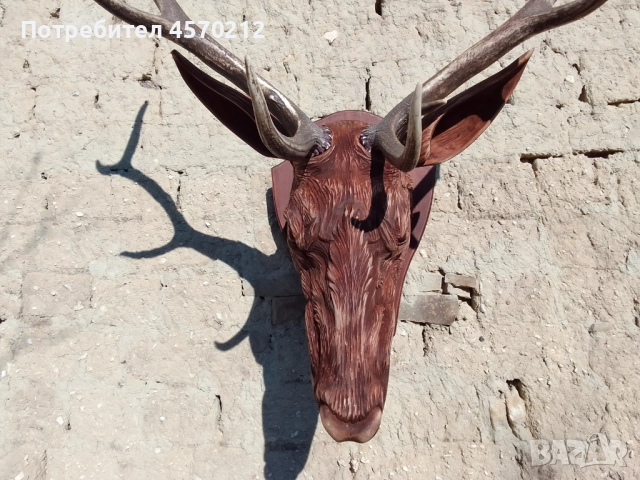 Ловен трофей от благороден елен, Поставка за еленски рога, Дърворезба за механа, Подарък за ловец  , снимка 7 - Декорация за дома - 51578899
