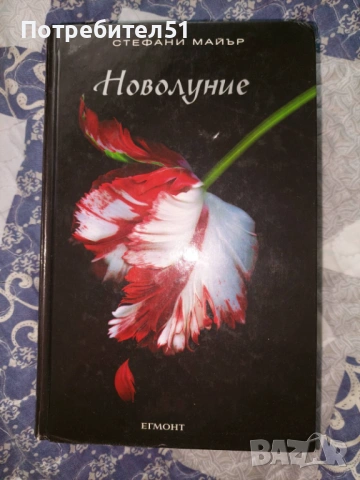 Книги от поредицата Здрач, снимка 3 - Художествена литература - 53697587