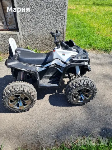 Бъги до 50 кг.-127,82 €, снимка 3 - Други - 49967866