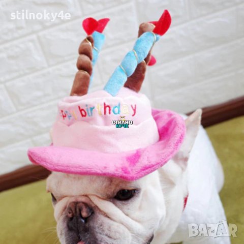 Кучешка шапка за рожден ден Шапка за рожден ден на домашен любимец Шапки за кучешки рожден ден, снимка 9 - За кучета - 27063296