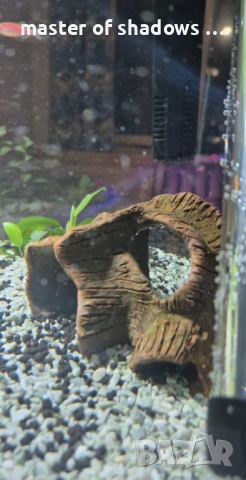 Aквариум Aquael Leddy Day&Night Plus 60 + 8 бр  ПОДАРЪК, снимка 5 - Аквариуми - 53479654