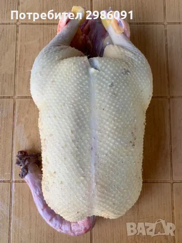 домашни патици,еко патица , снимка 2 - Домашни продукти - 48624842