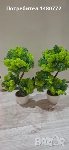 Бонсай със скандинавски мъх в саксийка, снимка 14 - Декорация за дома - 48125215