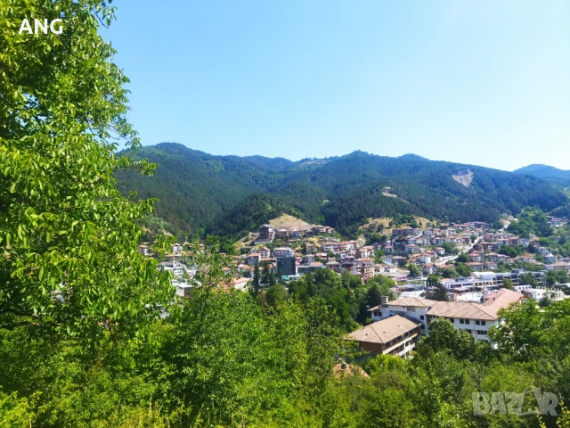 Продава парцел в гр.Девин , снимка 7 - Парцели - 50804650