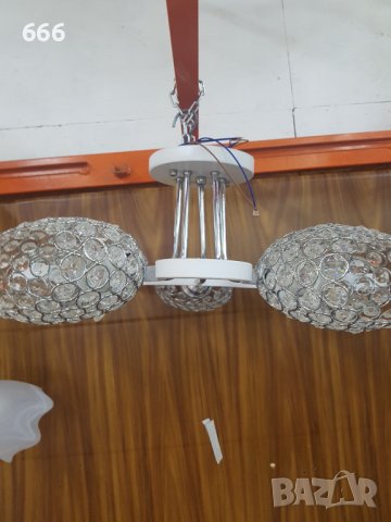 Полилей, снимка 2 - Полилеи - 41977109