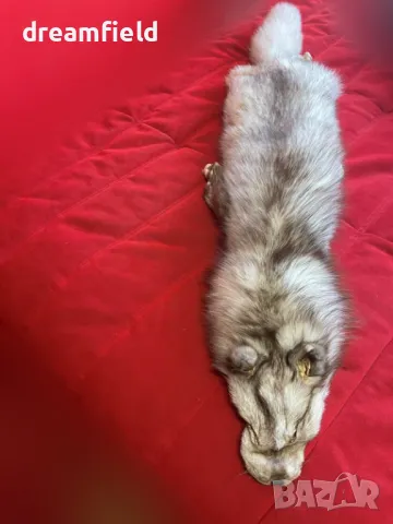 Сребърна лисица-ЯКИ- различни цветове, снимка 3 - Шалове - 50317077