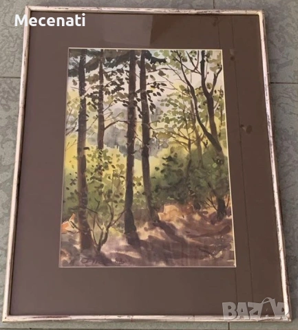 БИСЕРА ПРАХОВА - акварел , снимка 4 - Картини - 53100138