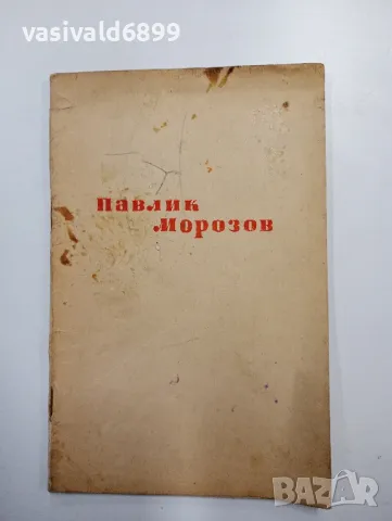 Витали Губарев - Павлик Морозов , снимка 2 - Художествена литература - 48376271