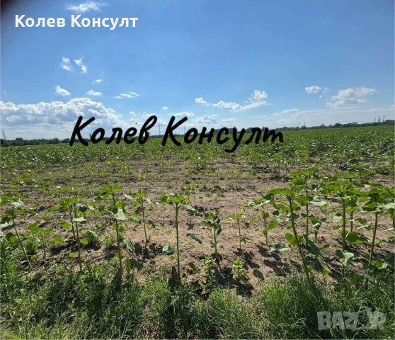 Продавам парцел УПИ в Димитровград,квартал Каменец , снимка 5 - Парцели - 50451427