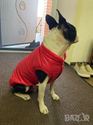 Якета за мъжки и женски кучета. Грейка за куче. Елек за куче. Яке за куче. Кучешки якета. Дрехи, снимка 7 - Други стоки за животни - 34462833