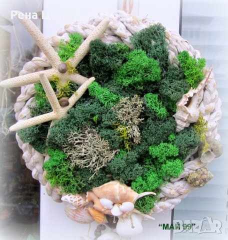 Морско пано със скандинавски мъх, снимка 3 - Пана - 35726384