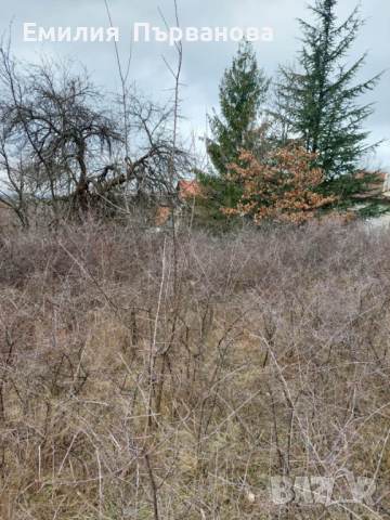 Продава  ПАРЦЕЛ в с.Мърчаево област София, снимка 9 - Парцели - 44724553