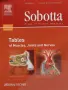 Sobotta - Atlas of Human Anatomy, снимка 2