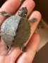 Продавам водни костенурки , снимка 5