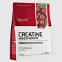 Креатин Монохидрат 500г / Creatine Monohydrate 500g  OstroVit, снимка 3