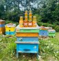 Натурален пчелен мед реколта 2023 г., снимка 1 - Пчелни продукти - 41928990