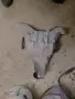 част за кола дефринцял, снимка 2