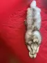 Сребърна лисица-ЯКИ- различни цветове, снимка 3