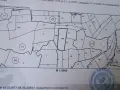 нива, трасето на автомобила Хемус , снимка 1