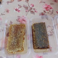 Домашен Пчелен мед , снимка 11 - Домашни продукти - 41776231