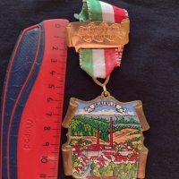 Стар медал Германия GRUNENPLAN 1979 година за колекция - 25926, снимка 6 - Антикварни и старинни предмети - 34607423