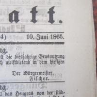 Античен стар немски вестник 1865 номер 134, снимка 3 - Колекции - 36059006