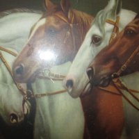 Стара красива цветна литография,коне, нова рамка,26х20см., снимка 7 - Картини - 35681709