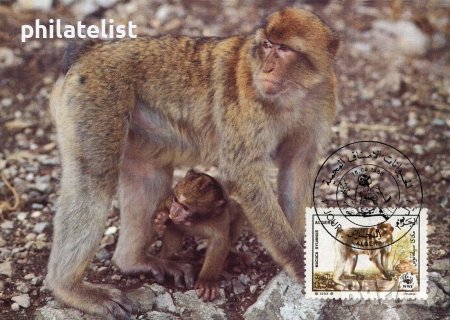 Алжир 1988 - 4 броя Карти Максимум - WWF, снимка 1