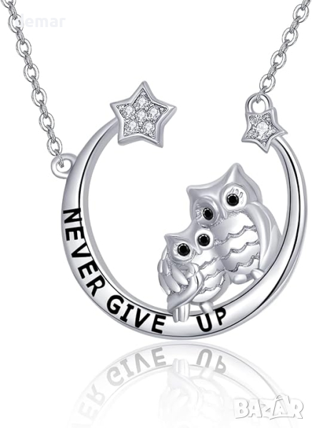 KINGWHYTE Дамско сребърно колие с две сови и надпис Never give up, снимка 1