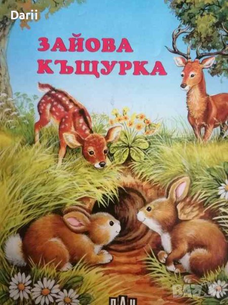 Зайова къщурка- Руми Райк, снимка 1