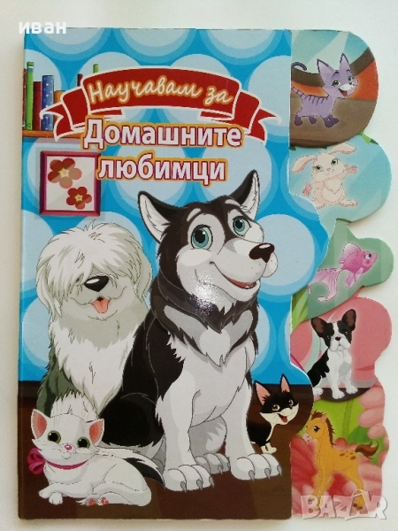 Картинна книжка "Научавам за домашните любимци", снимка 1