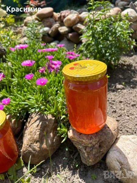 Предлагам натурален пчелен мед , снимка 1