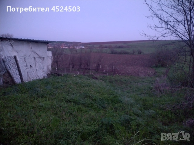 Дворно място село Цани Гинчево, снимка 4 - Парцели - 52354249