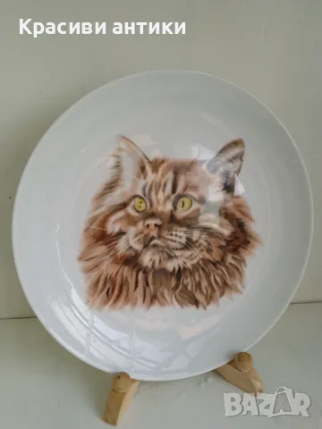 Немски порцелан, колекционерска чиния, снимка 4 - Други ценни предмети - 49435532