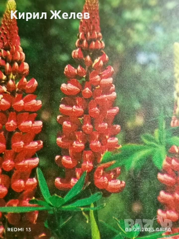 Старо календарче серия ЦВЕТЯ много красиво за КОЛЕКЦИЯ ДЕКОРАЦИЯ 25998, снимка 2 - Колекции - 51232500