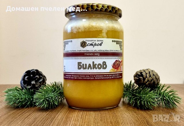 Домашен пчелен мед Билков 2023, снимка 1 - Пчелни продукти - 39692970