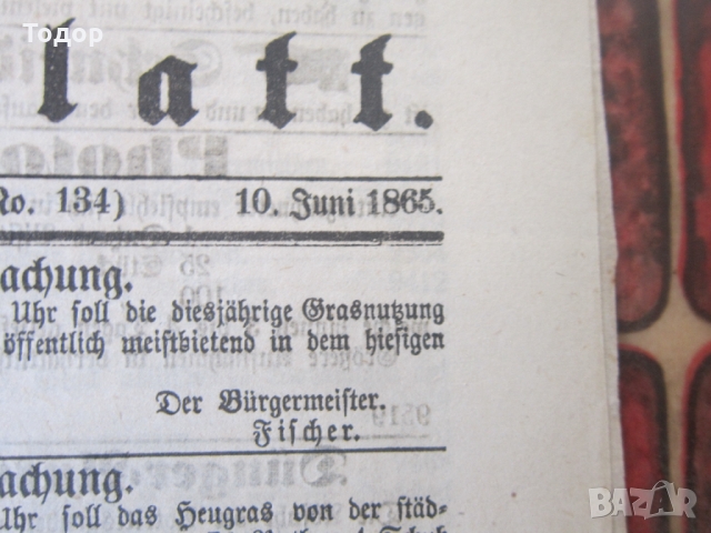 Античен стар немски вестник 1865 номер 134, снимка 3 - Колекции - 36059006