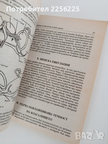 ЛОТ Полова енергия, снимка 2 - Специализирана литература - 53759123