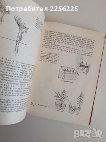 Цветя за нашия дом, снимка 8 - Специализирана литература - 52183831